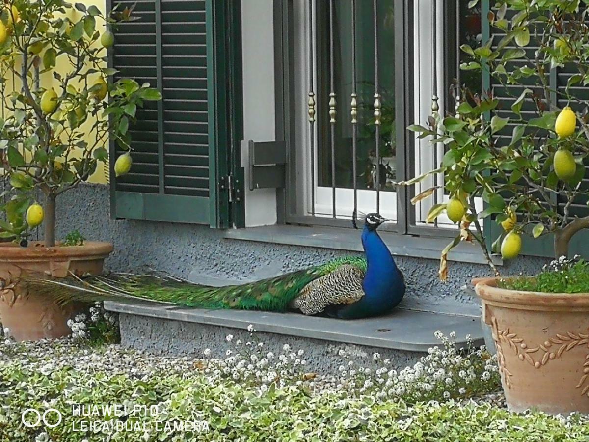 Villa Anna Torria Esterno foto